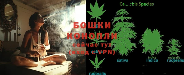 ECSTASY Каменка