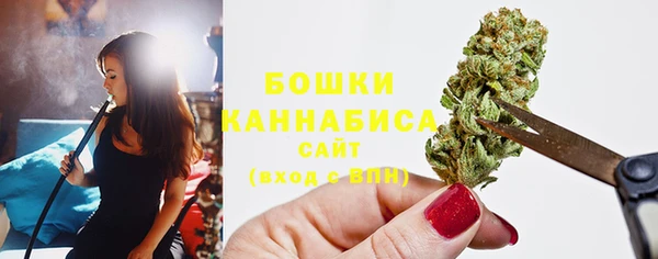 ECSTASY Каменка