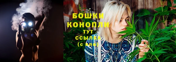 ECSTASY Каменка